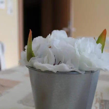 דירה Kirschbaum מוראו