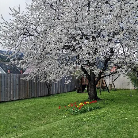 Apartmán Kirschbaum Murau