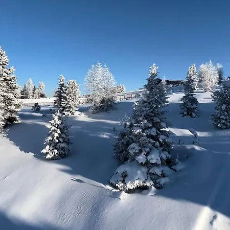 Διαμέρισμα Kirschbaum Murau