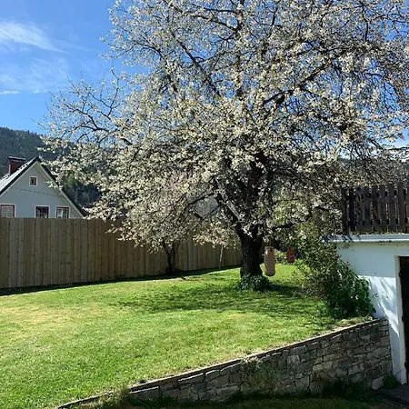 Kirschbaum *