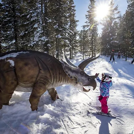 Apartament Kirschbaum *