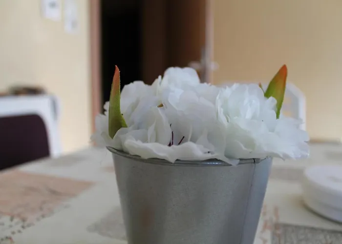 Apartman Kirschbaum Murau